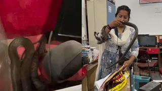 Woman Fiercely Catches Deadly Snake At Chhattisgarh College; Viral Video Shocks Internet